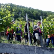 02_Rumo (7)